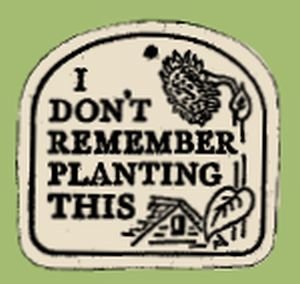 'I DON'T REMEMBER PLANTING THIS' Weatherproof PLAQUE