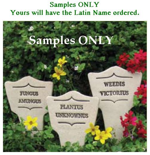 'INSECTUS ATTRACTIS' Humor In The Garden MARKER Decor