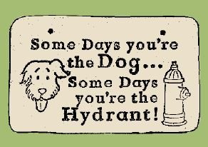 'SOME DAYS YOU'RE...' Weatherproof SAYINGS Sign/Plaque