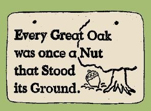 'EVERY GREAT OAK ...' Weatherproof SAYINGS Sign/Plaque