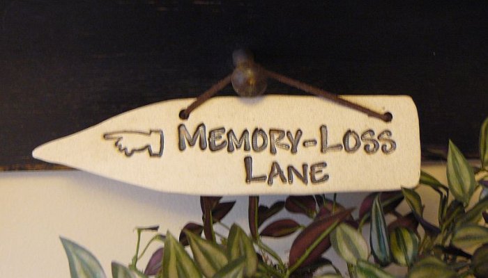 'MEMORY LOSS LANE' Home or Garden decor DETOUR SIGN