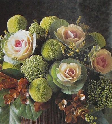'Bicolor Crane' Flowering Kale ANNUAL Seed COMPACT HEAD