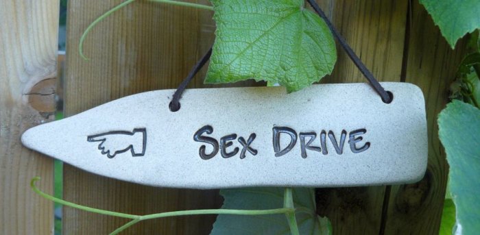 'SEX DRIVE' Home or Garden decor DETOUR SIGN