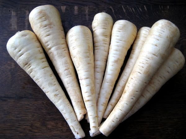 PARSNIP 'Albion F1 Hybrid' Sweet Pleasant Taste! SEED