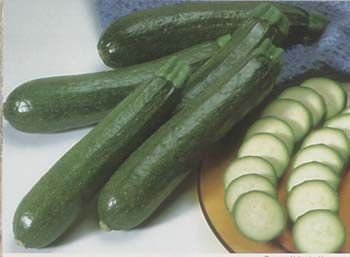 Zucchini 'Black Beauty' (Cucurbita spp.) SEEDS