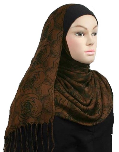 Free Shipping Brown Romance Viscose Shawl