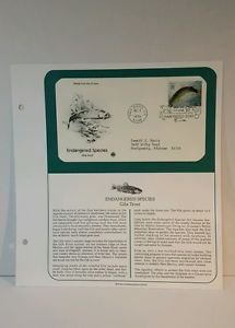1996 Endangered Species Lot of 5, 1ST Day Issue