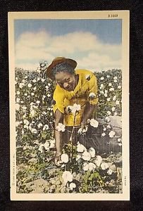 BLACK AMERICANA VINTAGE POSTCARD PICKING COTTON