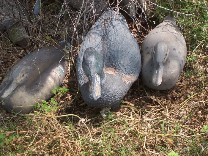Vintage Plastic Rubber Decoy Ducks