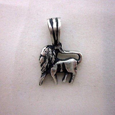 Leo 15.6 x 23.5mm zodiac pendant solid 925 silver