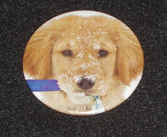 Puppy dog in the snow photo on a badge, pin - D 0002
