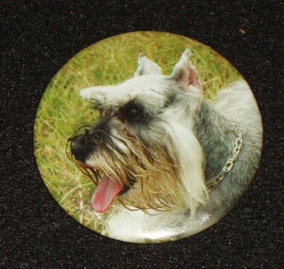 Schnauzer dog on badge, pin back - D 0003