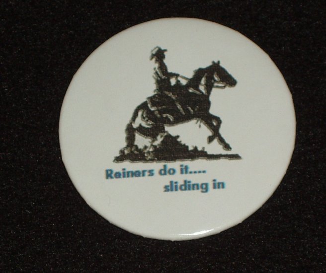 Reining horse "reiner's do it .... H 0004