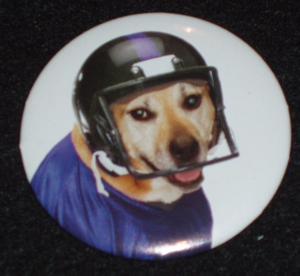 Yellow Lab dog wearing a helmet on a badge, pin D 0004