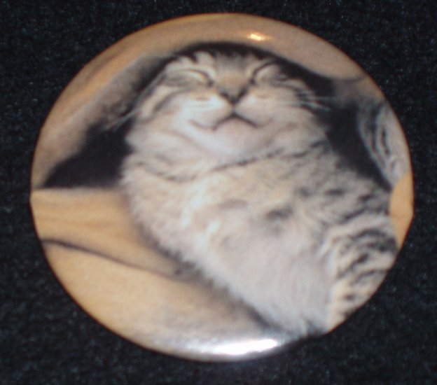 Tabby kitten, cat taking a nap, photo on badge, pin C0002