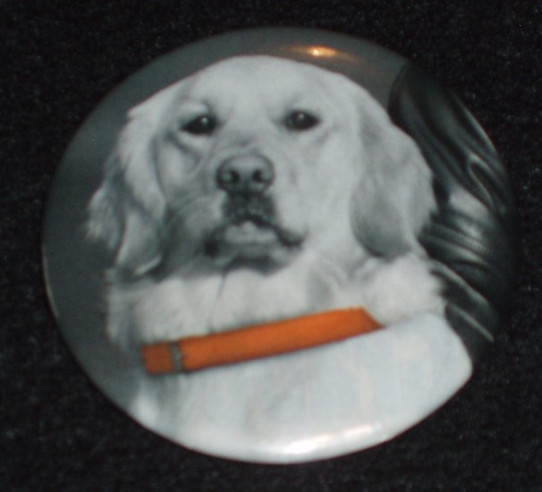 Dog with orange collar on a badge, pin D 0008