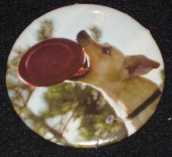 Yellow dog catching a frisbee photo on a badge, pin D 0009