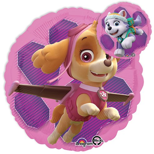 Paw Patrol Skye and Everest Balloon