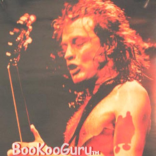 AC- DC - Poster " Live At Donington " NEW - Angus Young - Bon Scott - BooKooGuru!