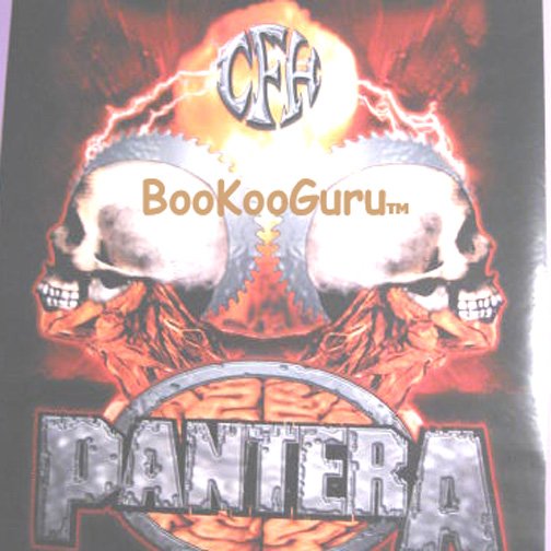 Pantera Poster - Reinventing the Steel - NEW - Diamond Darrell - Damage Plan - BooKooGuru!