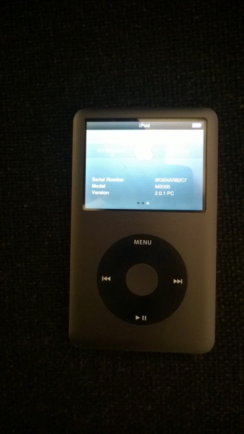 apple ipod 120g