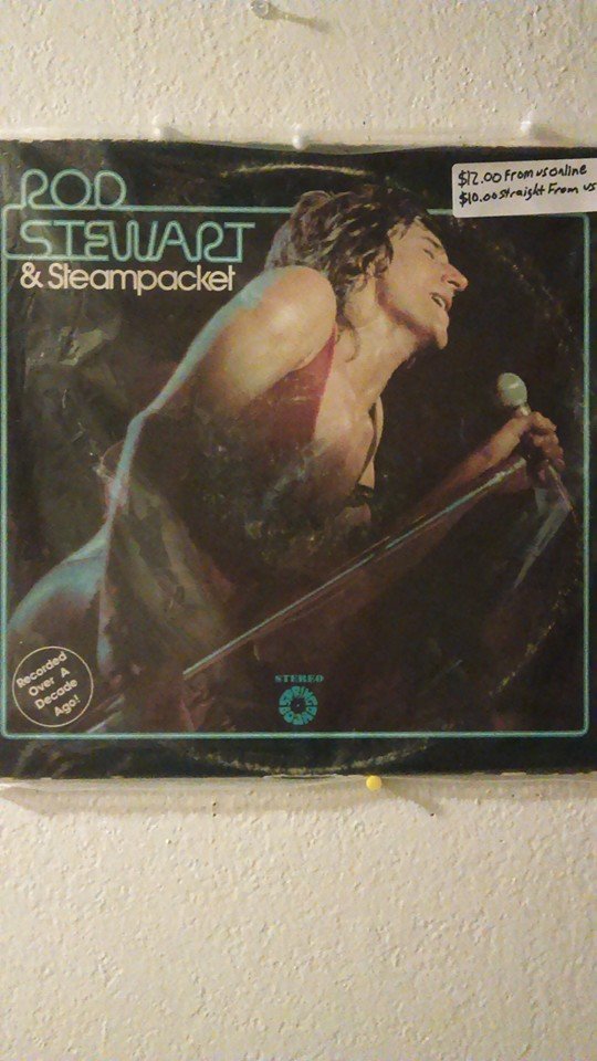Rod Steward
