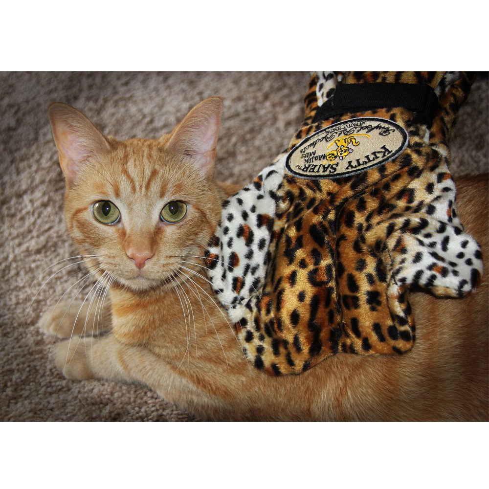 Vibrating Massage Mitt For Cats