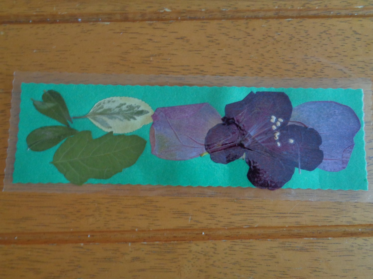Pressed Flower Bookmark