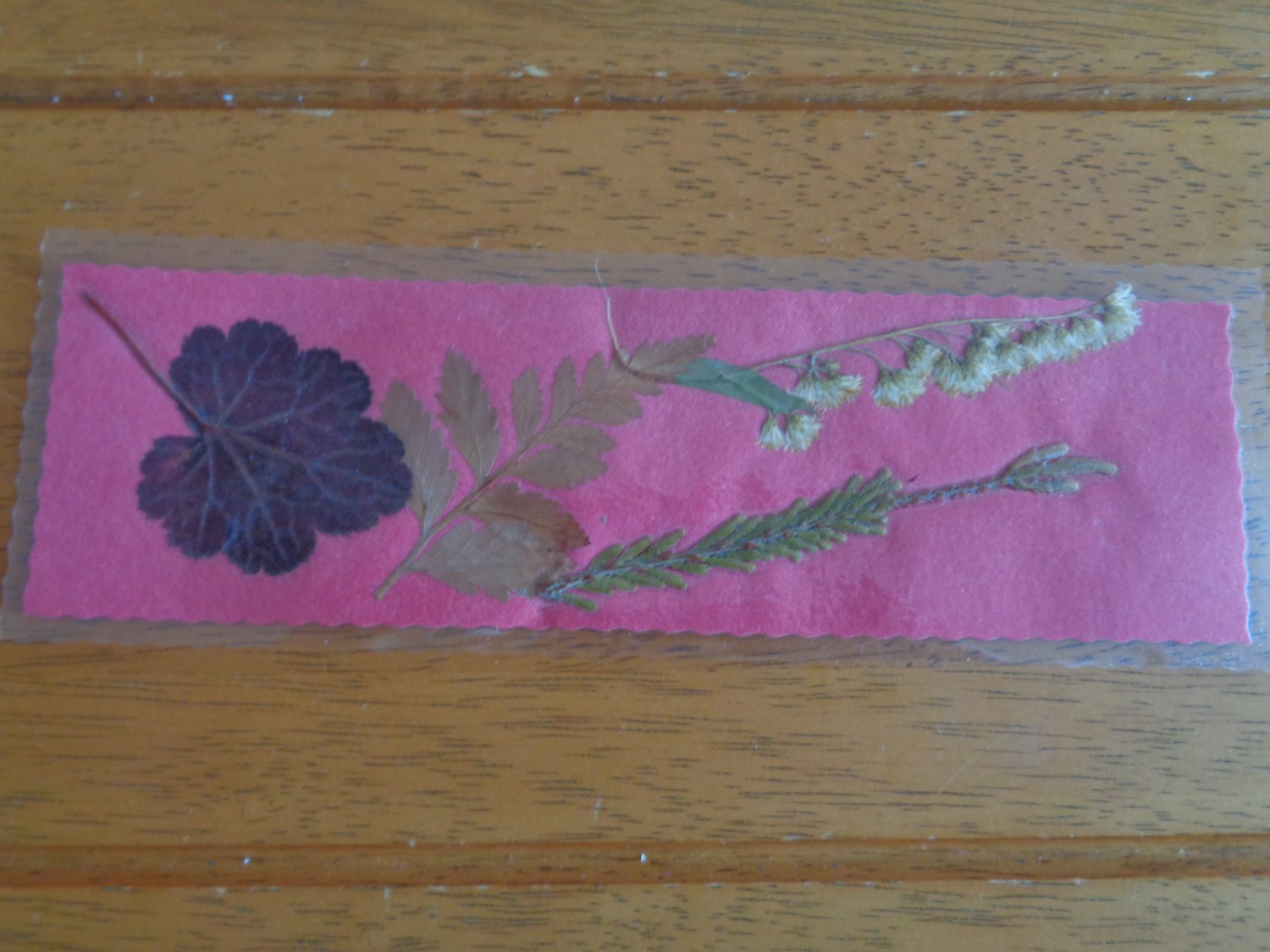 Pressed Flower Bookmark
