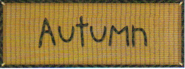 MME This & That Titles Autumn