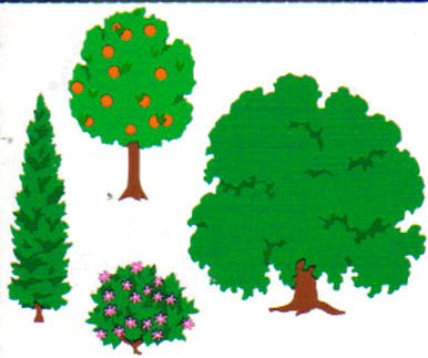 Mrs Grossman's Stickers Trees