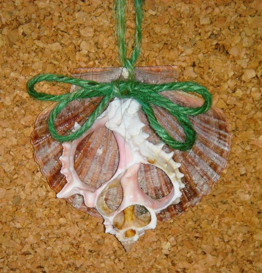 Sea Shell Ornament
