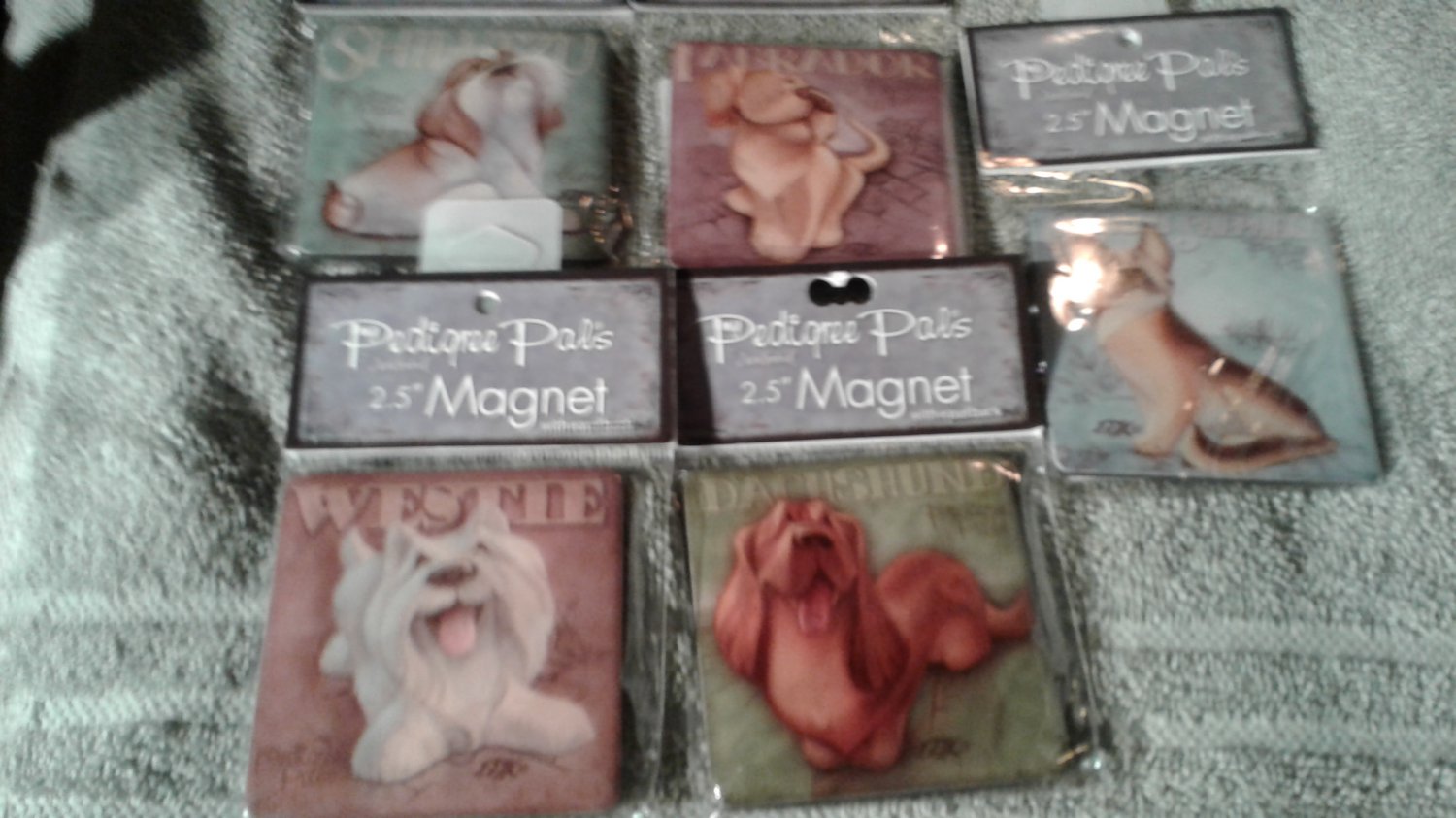 Pet Magnets