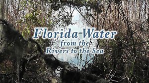 "WATERWAYS OF FLORIDA", Rivers, Lakes, Ocean Relaxation & Meditation DVD / Video