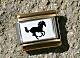 Galloping Shadow Horse