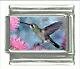 Hummingbird