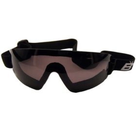 Birdz Wing Skydiving Goggles