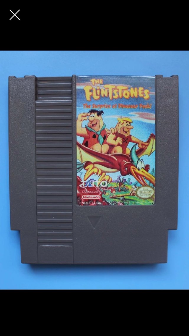 The Flintstones Surprise At Dinosaur Park 100% Working