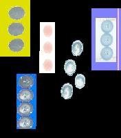 5 PKs of Buttons
