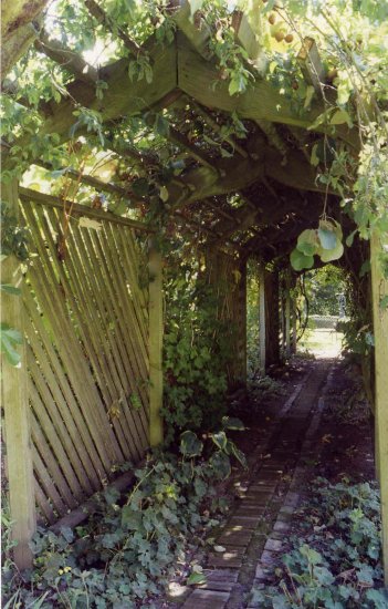 The Arbor
