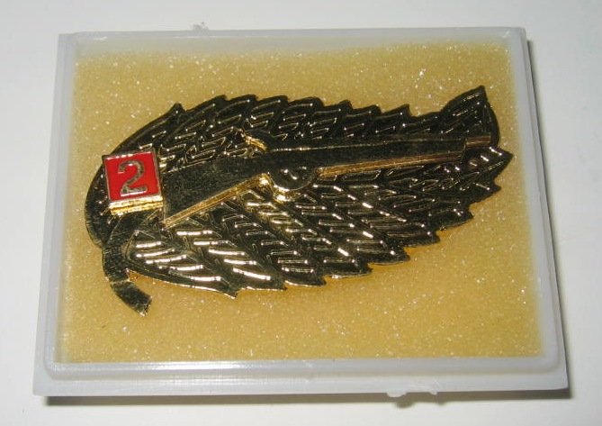 Indonesian Army Sharpshooter 2nd Class Rifle Badge (Indonesian Military) FREE SHIPPING!