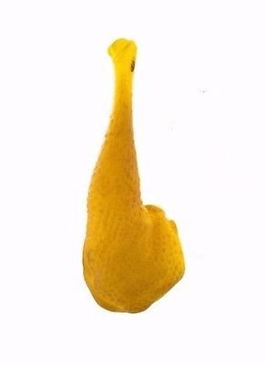 Squeaking Turkey Leg Dog Toy