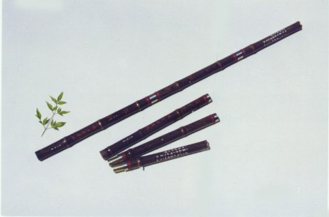 JY-204-Special Professional Black Bamboo Vertical Flute W/T Double Copper Joints