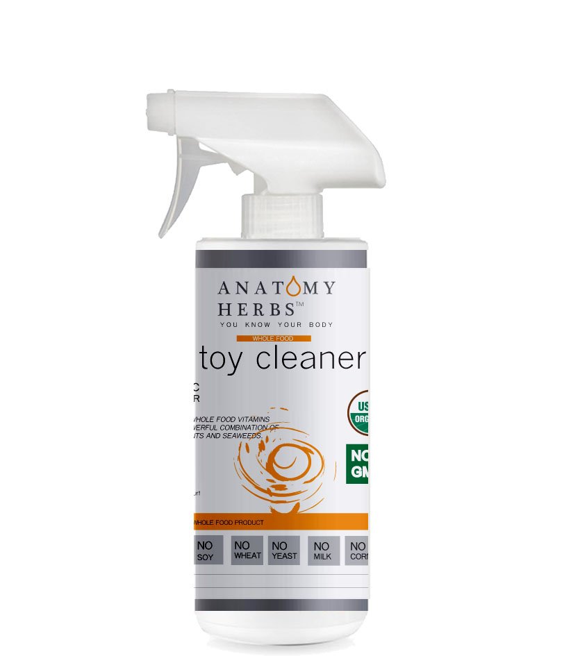 Toddler Toy Cleanser (ORGANIC, All-Natural)