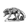 020801305 - Lizard 5