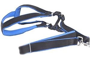 Honeystore Pet Nylon Non Pulling Medium Dog Harness Blue Size 3