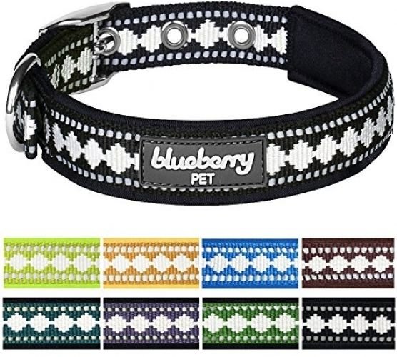 Blueberry Pet Collars For Dogs 3/4 Medium Neoprene Padded Dog Collar In Black