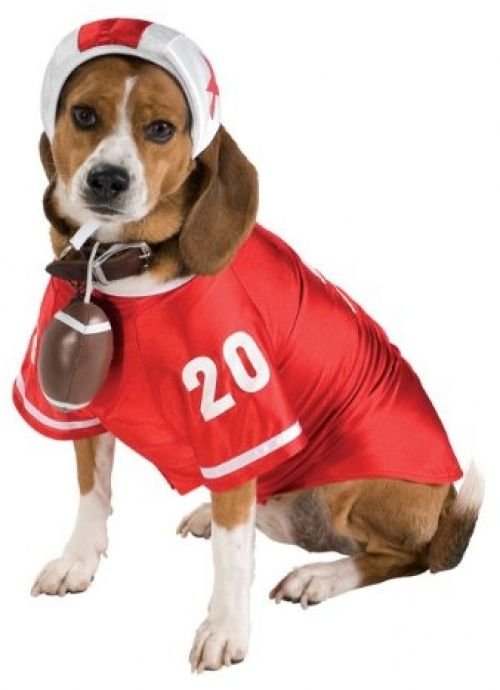 Football Star X-Large Pet Costume