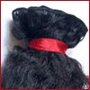 Wavy Machine Weft Indian Hair (16"-18") 4 oz.
