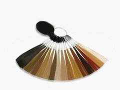 Color Wheel